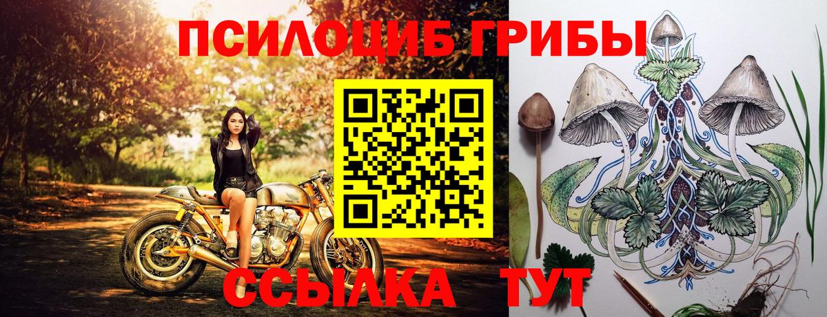 Шали  купить  цена  Вход с VPN  Галлюциногенные грибы мухоморы 