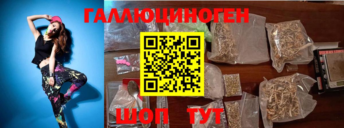 Галлюциногенные грибы Psilocybe Шали